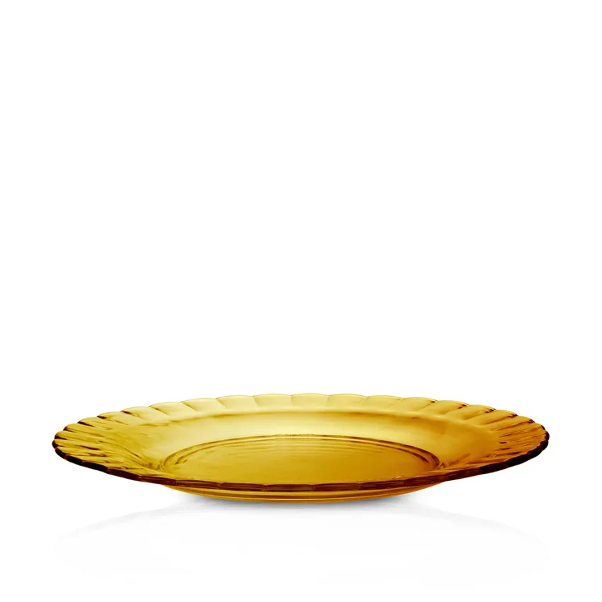 Professionnels De La Restauration|Assiettes>Duralex Picardie - Assiettes x6 - 23cm - Vermeil